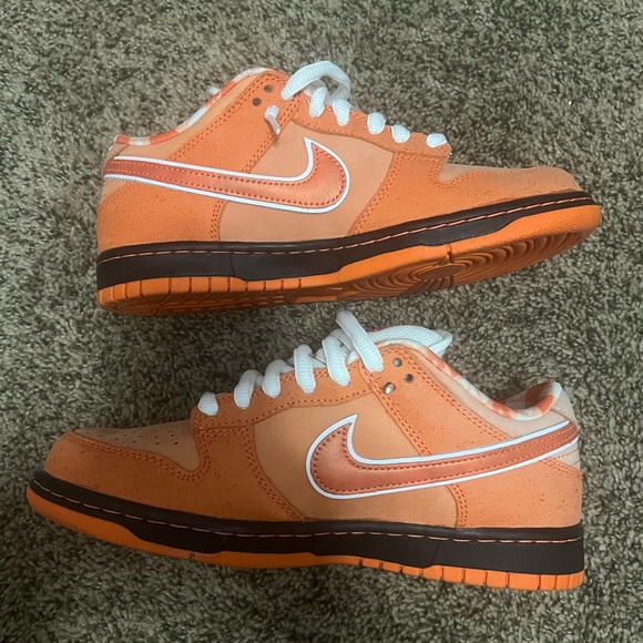 Nike Dunk Orange Lobster - Picture 1 of 7